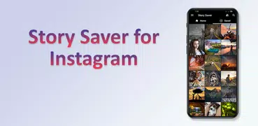 Story Saver - Video Downloader