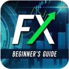 Forex Trading-icoon