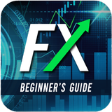 Forex Trading Beginner Guide