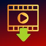 Story Saver - Video Downloader ícone