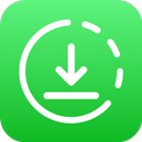 Download Video - Story Saver APK