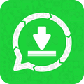Salva stato per Whatsweb app : Download Video