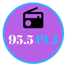 95.5 PLJ FM Radio Station New York aplikacja