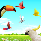 Sky Birds Live Wallpaper Free icono