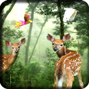 Rain Forest Live Wallpaper APK