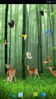 Rain Forest Live Wallpaper โปสเตอร์