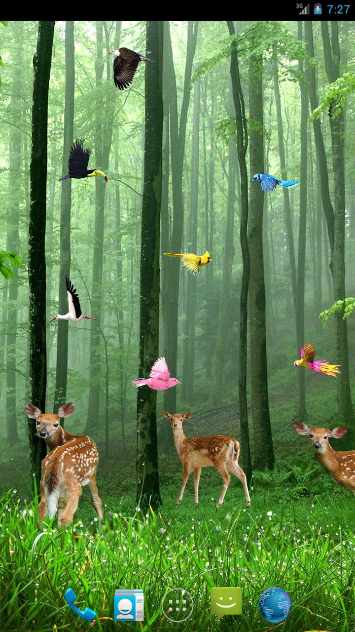 Rain Forest Live Wallpaper APK for Android Download Rain Forest Live Wallpaper APK for Android Download