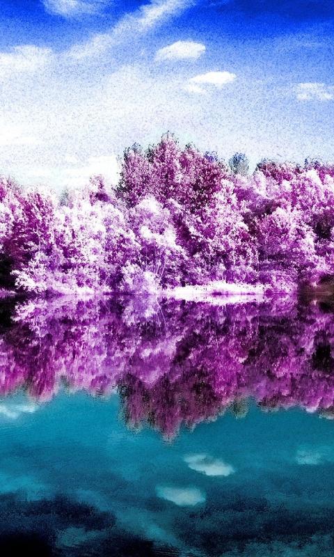 Unduh 1000+ Wallpaper Cantik Sepeda HD Terbaru Unduh 1000+ Wallpaper Cantik Sepeda HD Terbaru