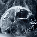 Fonds d'écran Halloween Pixel Skull APK