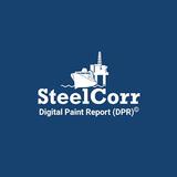 Digital Paint Report (DPR)