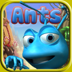 Ants