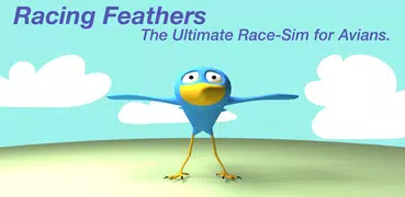 Racing Feathers