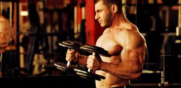 Huge Arms Workout Guide