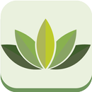 Mascarillas caseras de belleza APK