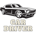 car driver pro 2021