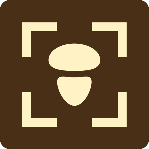 Fungus - Identification of fun