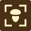 Fungus - Identification of fun APK