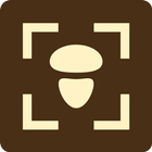 Fungus icon