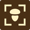 APK Fungus – تشخیص قارچ