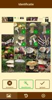 Fungus-poster