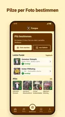Fungus – Pilze bestimmen XAPK Herunterladen