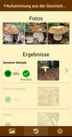 Fungus Screenshot 1