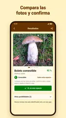 Descargar XAPK de Fungus – Identificar setas
