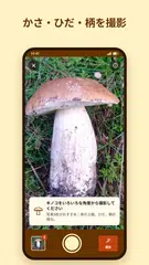 Fungus – キノコ判定 アプリダウンロード