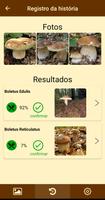 Fungos - Identificação de fung imagem de tela 2