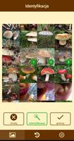 Fungus plakat