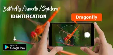 Insect Spider & Bug identifier