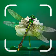 Insect Spider & Bug identifier Icon