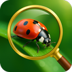 ikon Insect Spider & Bug identifier