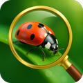 Insect Spider & Bug identifier