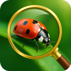 Identificador de inseto ID app ícone