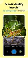 Insect Spider & Bug identifier الملصق