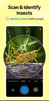 Insect Spider & Bug identifier পোস্টার