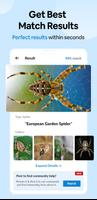 Insect Spider & Bug identifier স্ক্রিনশট 1