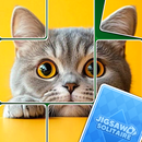 Jigsaw Solitaire Puzzle APK