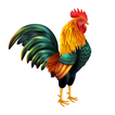 Kukdo icon