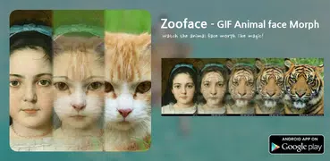 Zooface - GIF Animal Morph