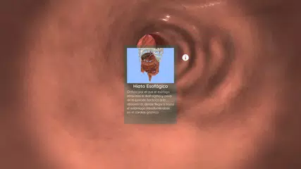 Descargar XAPK de Anatomyou VR | Anatomía Humana