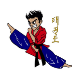 Sterners Tae Kwon Do icon