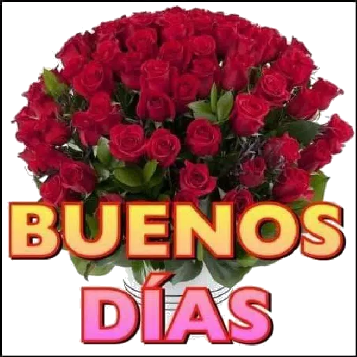 Descargar Imagenes de Buenos Dias y Buenas Noches APK para Android chula Descargar Imagenes de Buenos Dias y Buenas Noches APK para Android