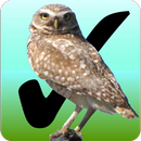 Birdwatcher's Diary APK