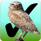 Birdwatcher's Diary icon