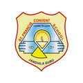 St. Francis Convent School, Ja