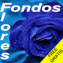 Fondos de flores(movil) APK