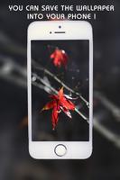 4k & HD Handy Hintergrundbilder (Hintergründe) Screenshot 2