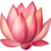 Sthree Sutra -Womanhood phases APK